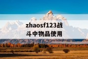 zhaosf123战斗中物品使用