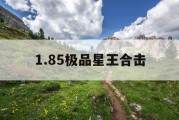 1.85极品星王合击