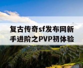 复古传奇sf发布网新手进阶之PVP初体验