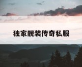 独家靓装传奇私服