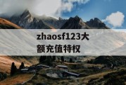 zhaosf123大额充值特权