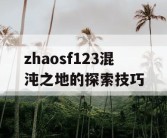 zhaosf123混沌之地的探索技巧