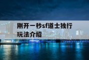 刚开一秒sf道士独行玩法介绍