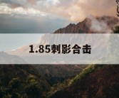 1.85刺影合击