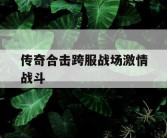 传奇合击跨服战场激情战斗