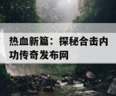 热血新篇：探秘合击内功传奇发布网