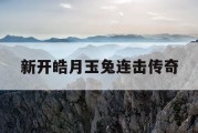 新开皓月玉兔连击传奇