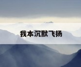 我本沉默飞扬