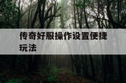 传奇好服操作设置便捷玩法