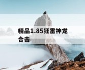 精品1.85狂雷神龙合击