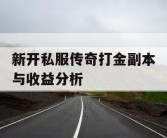 新开私服传奇打金副本与收益分析