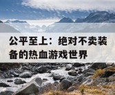 公平至上：绝对不卖装备的热血游戏世界