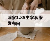 洞察1.85主宰私服发布网