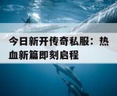 今日新开传奇私服：热血新篇即刻启程
