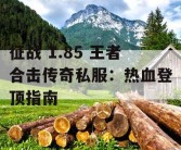征战 1.85 王者合击传奇私服：热血登顶指南