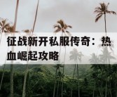 征战新开私服传奇：热血崛起攻略