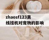 zhaosf123离线挂机对宠物的影响