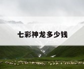 七彩神龙多少钱