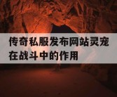 传奇私服发布网站灵宠在战斗中的作用