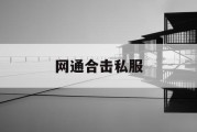 网通合击私服