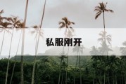 私服刚开