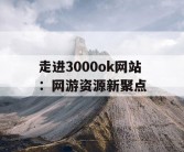 走进3000ok网站：网游资源新聚点