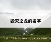 毁灭之龙的名字