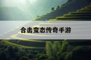 合击变态传奇手游