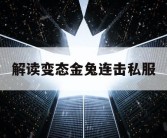 解读变态金兔连击私服