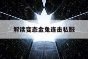 解读变态金兔连击私服