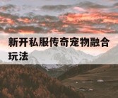 新开私服传奇宠物融合玩法