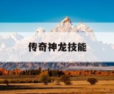 传奇神龙技能