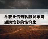 单职业传奇私服发布网翅膀培养的性价比