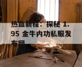 热血新程：探秘 1.95 金牛内功私服发布网