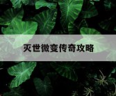 灭世微变传奇攻略