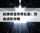 纵横微变传奇私服：热血进阶攻略
