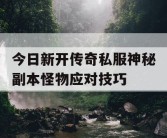 今日新开传奇私服神秘副本怪物应对技巧