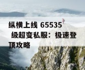 纵横上线 65535 级超变私服：极速登顶攻略
