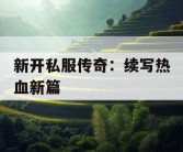 新开私服传奇：续写热血新篇