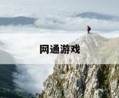 网通游戏
