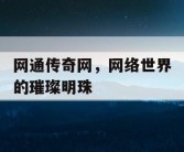 网通传奇网，网络世界的璀璨明珠