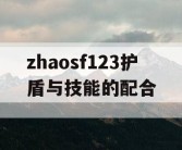 zhaosf123护盾与技能的配合