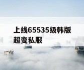 上线65535级韩版超变私服