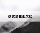 仿武易我本沉默