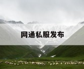 网通私服发布