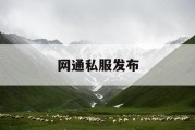 网通私服发布