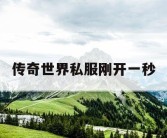 传奇世界私服刚开一秒