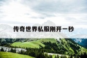 传奇世界私服刚开一秒