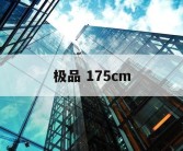 极品 175cm