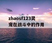 zhaosf123灵宠在战斗中的作用